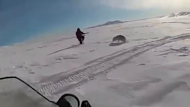 Охота на волка смотреть онлайн