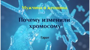 Мужчина и женщина. Взаимодействие в развитии. #Гарат #МужчинаЖенщина #ХYхромосомы