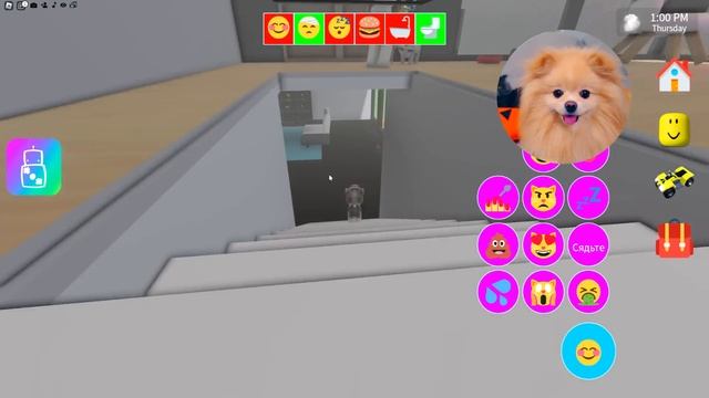 ВЕЧЕРИНКА КОТИКОВ В РОБЛОКС ! ДОСТАЮ И ПРЯЧУСЬ ОТ ХОЗЯЙКИ ДОМА В ROBLOX смотреть онлайн