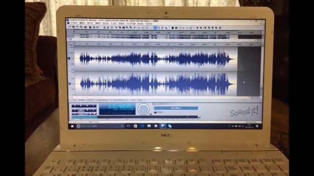 白鳥(サン＝サーンス)ピアノ伴奏のみMP3 смотреть онлайн