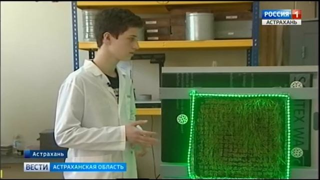 Студенты АГТУ разработали уникальную технологию вертикального озеленения смотреть онлайн