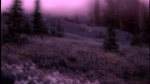 sparky deathcap - september (instrumental, ultra speed up)