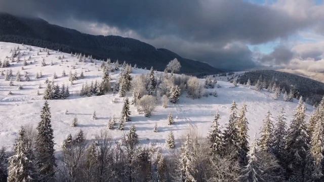 10 лютого 2021 р. смотреть онлайн