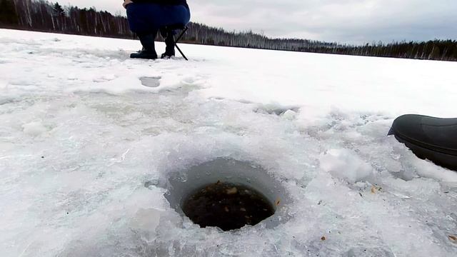 ловля гольяна в глухозимье смотреть онлайн