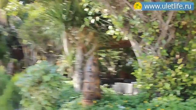 Парк Горького Нячанг смотреть онлайн