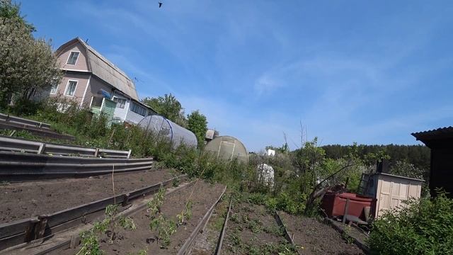 VLOG семья на даче/приютили кошку/никто не работает кроме Славки/что нового/избавились от детей смотреть онлайн