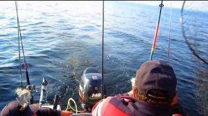 Незабываемая Онежская рыбалка. Ловим лосося. Сентябрь 2013 год.