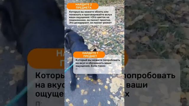 Как справиться с паническими атаками? Что поможет снизить тревожность? Простая техника. смотреть онлайн