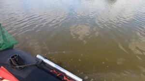 Рыбалка.  Надувная лодка с электромотором.