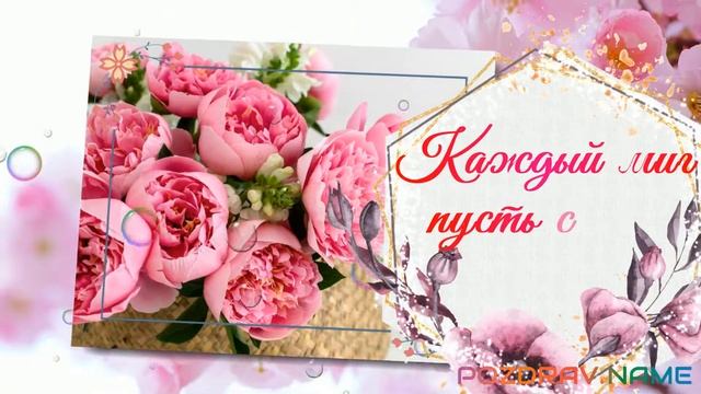 ? С Днем Рождения, Света, Светочка, Светлана ?! Красивое поздравление для самой восхитительной! смотреть онлайн