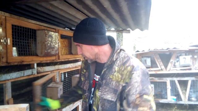 Размер клеток  для кроликов и маточники под них.