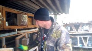 Размер клеток  для кроликов и маточники под них.