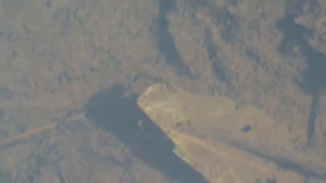 Ручейник для рыбалки.Ручейник в домике.Ручейник личинка.Наживка ручейник.Рыбалка приманки смотреть онлайн