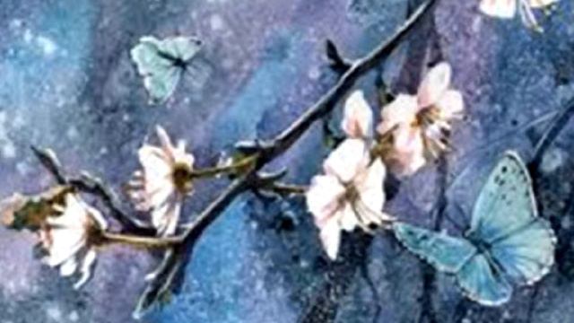 Акация - Краснова Эльвира смотреть онлайн