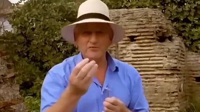 Discovery .История Византийской империи.От рождения до краха .