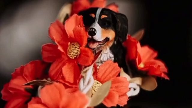 САМЫЕ КРАСИВЫЕ ФОТКИ СО(ШЛЯЙХ) СОБАК?(НЕ МОИ) смотреть онлайн