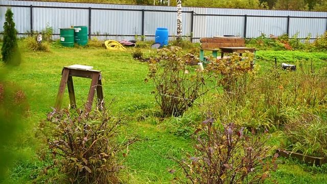 Деревня, сливаю воду. На дворе осень. Собираю навес для мотоблока.