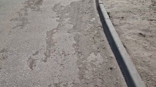 Не что с утра так не бодрит, как тигр на помойке смотреть онлайн