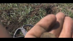 Коп в Пензенской губернии с MINELAB E-TRAC