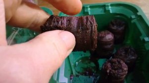 Торфяные таблетки для рассады. Как пользоваться торфяными таблетками рационально.