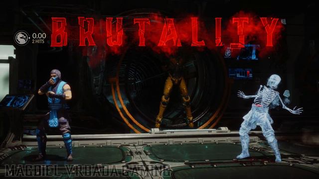 Mortal Kombat 11 Ultimate - All Sub-Zero Brutalities - 4K HDR (60fps) смотреть онлайн