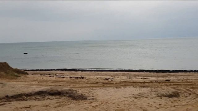 Крабы в Балтийском море . Декабрь 2019. смотреть онлайн