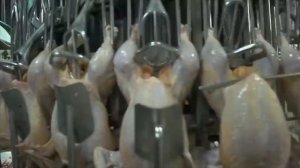 Современные Процессы Производства, от Которого Волосы Встают Дыбом