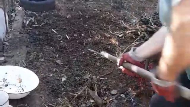 Козы и огород. Наши будни. Украина. смотреть онлайн