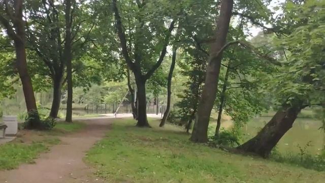 ПРОГУЛКА ПО ЮЖНОМУ ПАРКУ В КАЛИНИНГРАДЕ смотреть онлайн