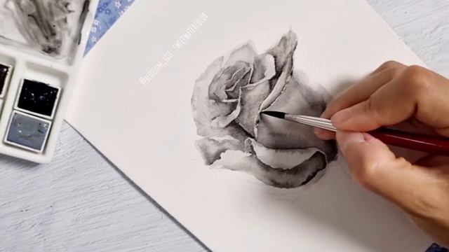 [ENG/KR SUB ] 흑장미🖤 A black rose in watercolor #stepbystep смотреть онлайн