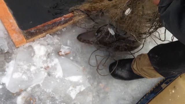 Ловля рыбы смотреть онлайн