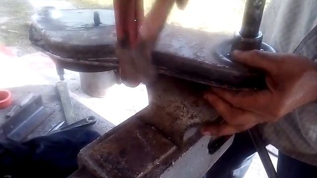 Озеленение с легкостью: простые решения