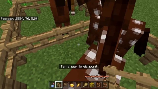 HOW TO GET ULTRA FAST HORSES in Minecraft Bedrock (MCPE/Xbox/PS4/Nintendo Switch/Windows10)