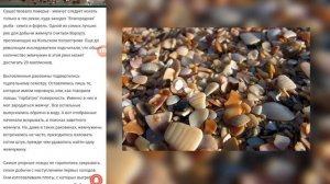 Как в реках России добывали жемчуг