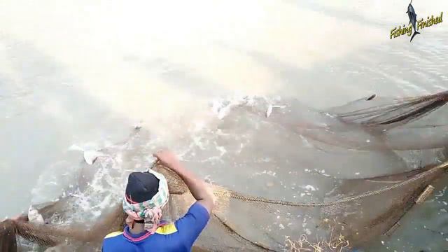 Amazing Big Fishing Catching Skill || Most Satisfying Big Fish Hunting By Net From Pond || part-2 смотреть онлайн