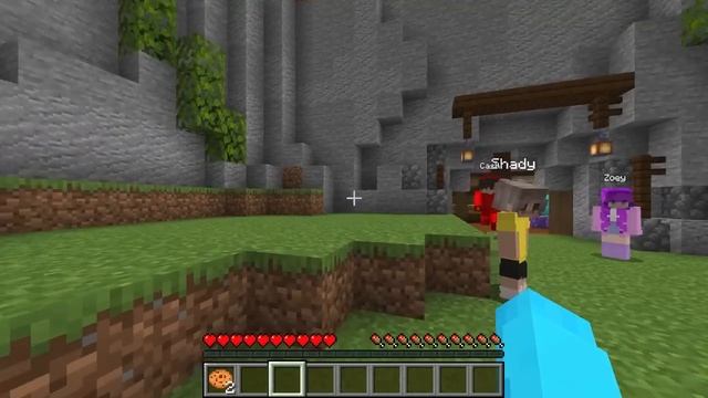 Only Using ONE COLOR In Minecraft! смотреть онлайн