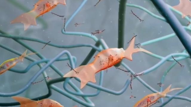 Kosmetolog Gulnozadan Lazerniy Qin Toraydirish Haqida Ma’lumotlar Sizlar Uchun Aziz Kuzatuvchilar?