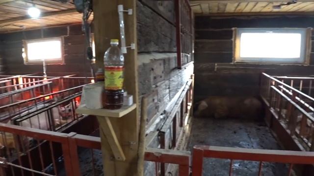 Подводим итоги стройки! / ✅ 100000 подписчиков смотреть онлайн