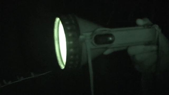 гнездо капалухи смотреть онлайн