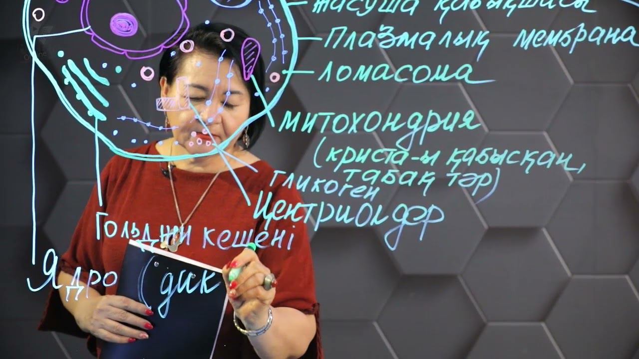 Бактериялар, саңырауқұлақтар жасушасының құрылысы мен қызметінің ерекшеліктері. 1 бөлім. 10 сынып. смотреть онлайн