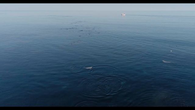 Прогулка и рыбалка на катерах Аквамарин смотреть онлайн