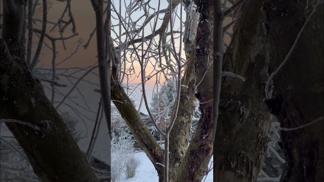 Река времени смотреть онлайн