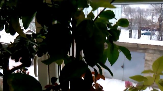 На балконе в декабре смотреть онлайн