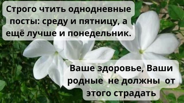 Как православному человеку встретить свою вторую половину смотреть онлайн