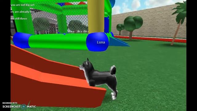 Roblox: A Dog's Life. смотреть онлайн