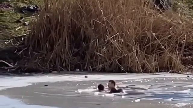 Краснодар смотреть онлайн