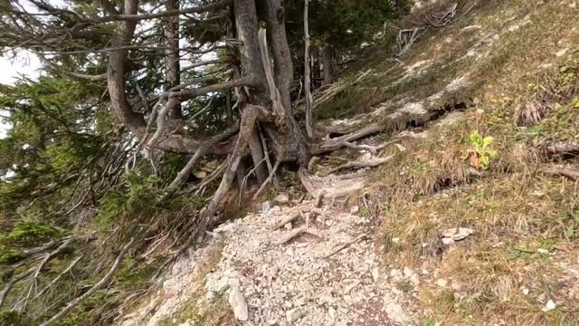 Einstein 1866m // Aussichtsberg über dem Tannheimer Tal// Tannheim смотреть онлайн