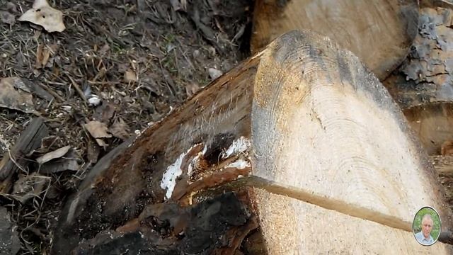 Как наколоть дрова без топора. Самодельный дровокол. смотреть онлайн