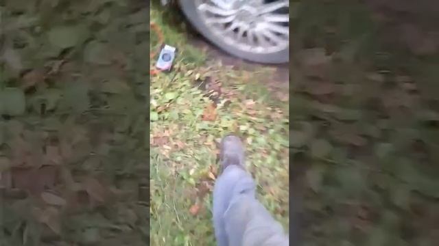 Пассат б5 не работает омыватель смотреть онлайн