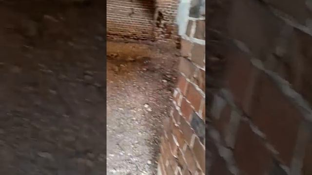 металлический храм ,а я всегда говорил что металл внутри и колон и ваз ... и статуй... смотреть онлайн